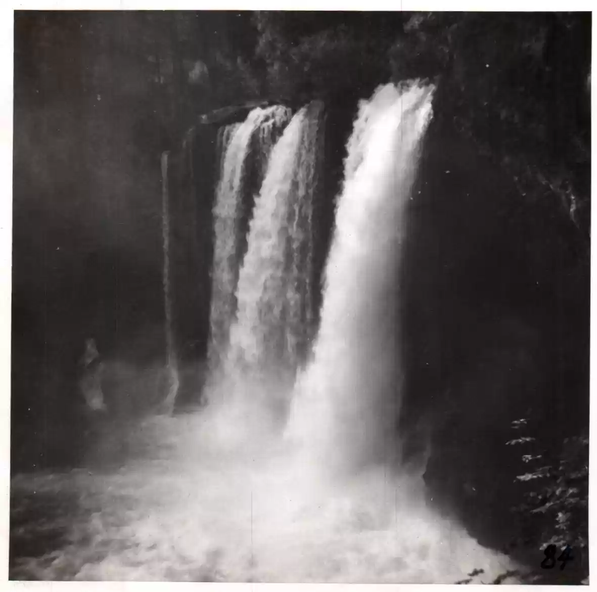 83 - Clear Lake Falls, OR